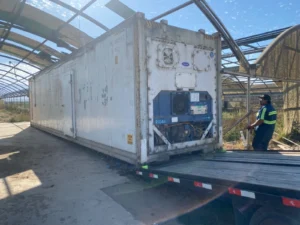 40ft Refrigerated Shipping Container – With Custom Side Door Access